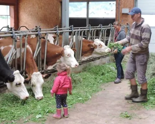 Stockhambauer * Kleinarl