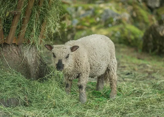 Stockhambauer * Kleinarl